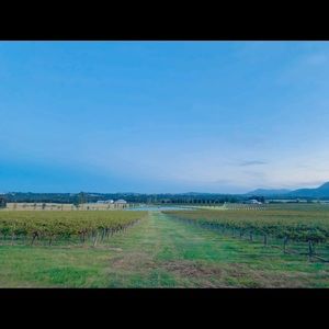 Meet your Posher, Cam